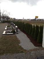 Friedhofsbepflanzung in Winterlingen
